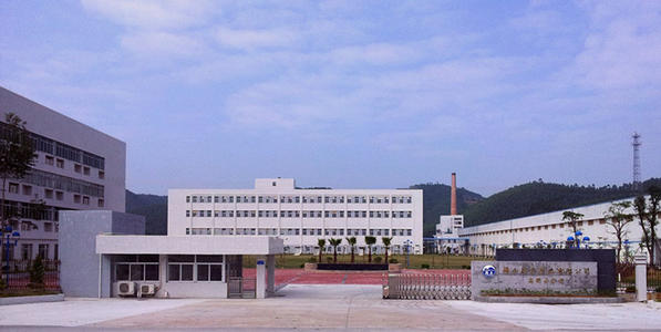国药集团德众（佛山）药业有限公司-供应链管理泛亚体育案例