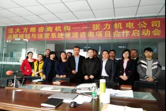 东莞张力公司战略规划与运营系统管理泛亚体育项目